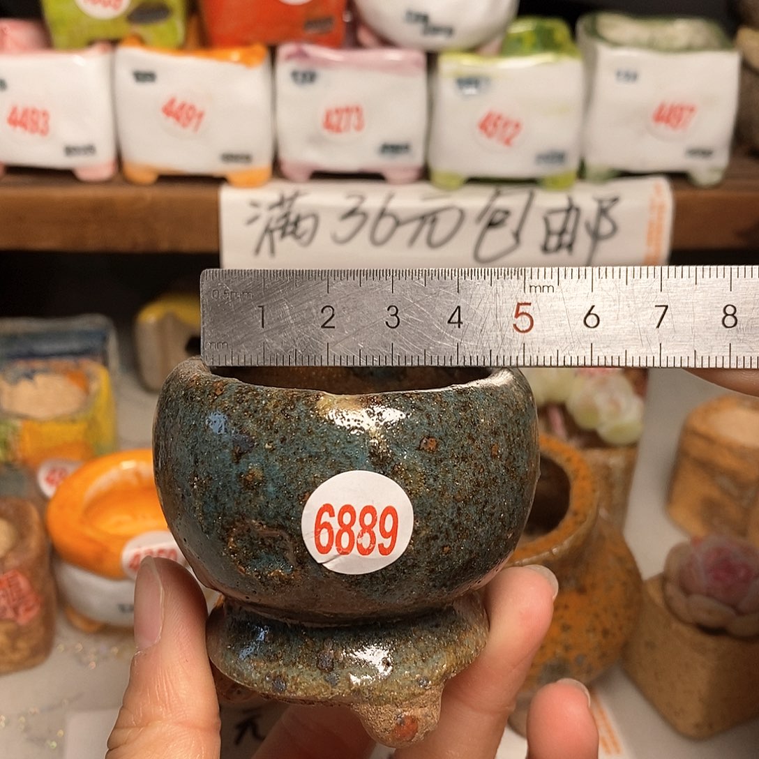 红陶拍5送一个小