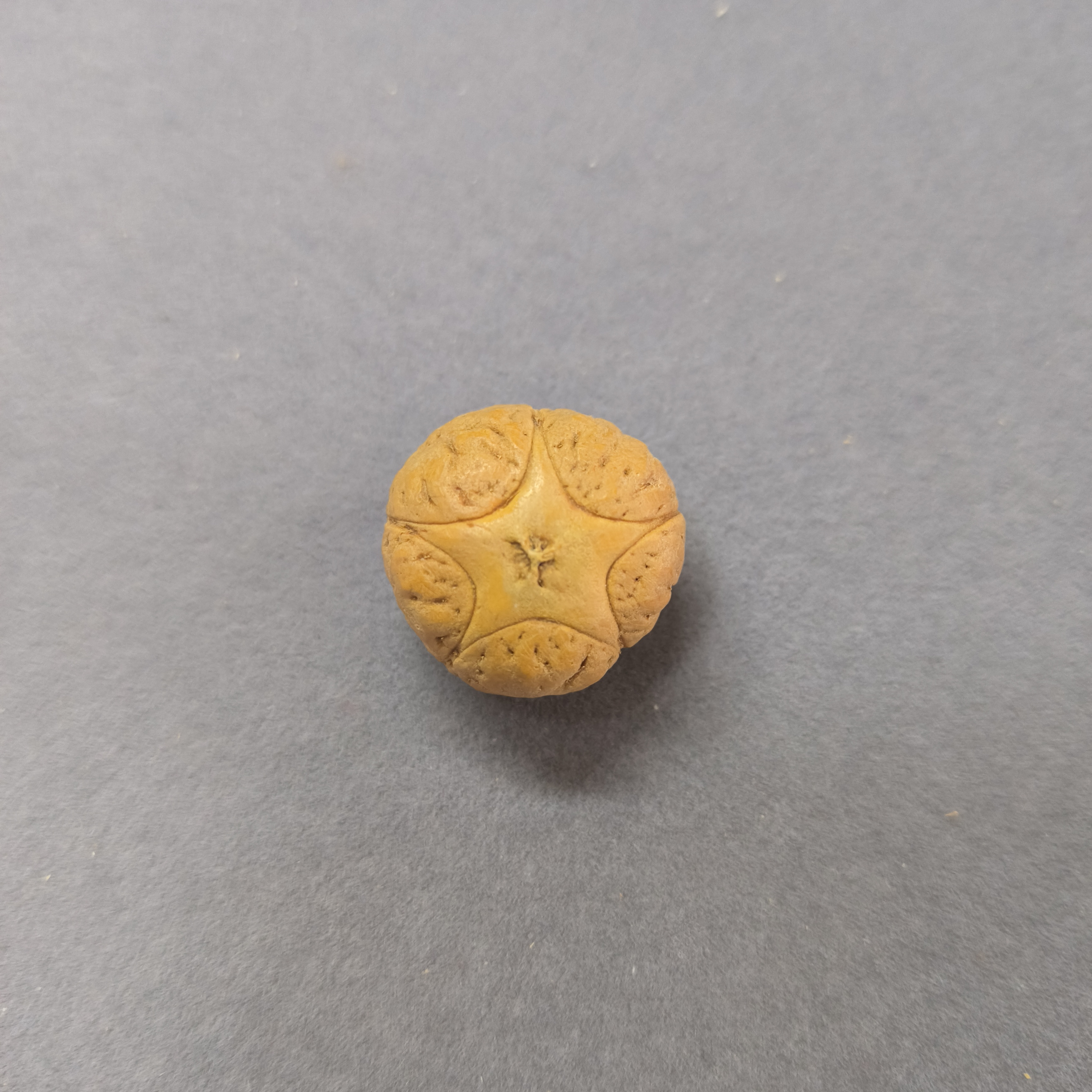 【WF521051】直径21mm厚15mm五星单颗尼泊尔凤眼菩提