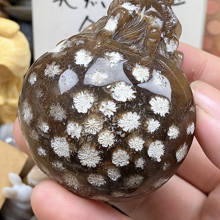 颈饰未镶嵌硅化珊瑚（珊瑚玉）