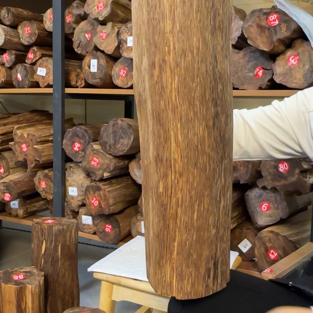 沉香沉香枕沉香多样性发一件64