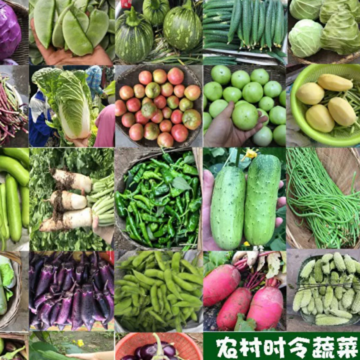 云南赶集优选蔬菜干货