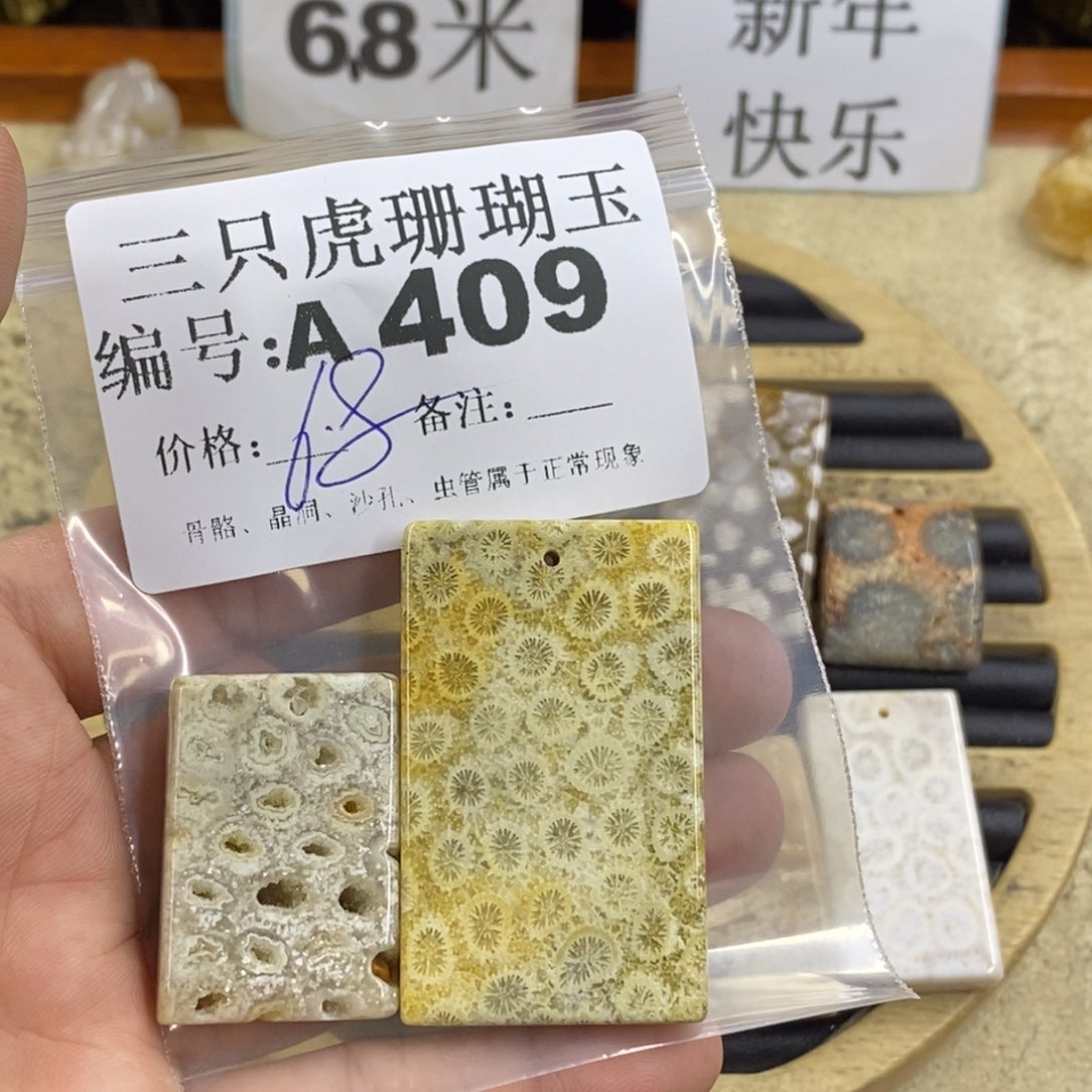 硅化珊瑚（珊瑚玉）1未镶嵌用****5