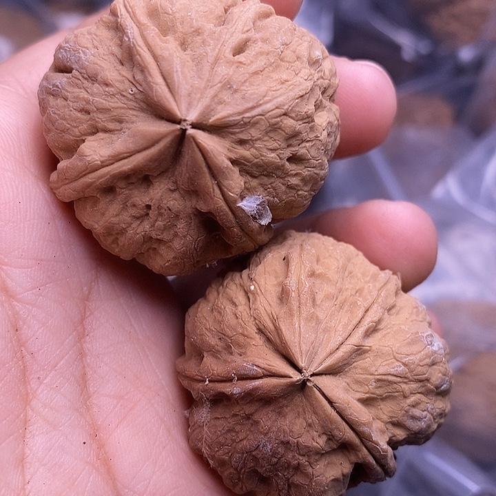 吊坠文玩核桃   130