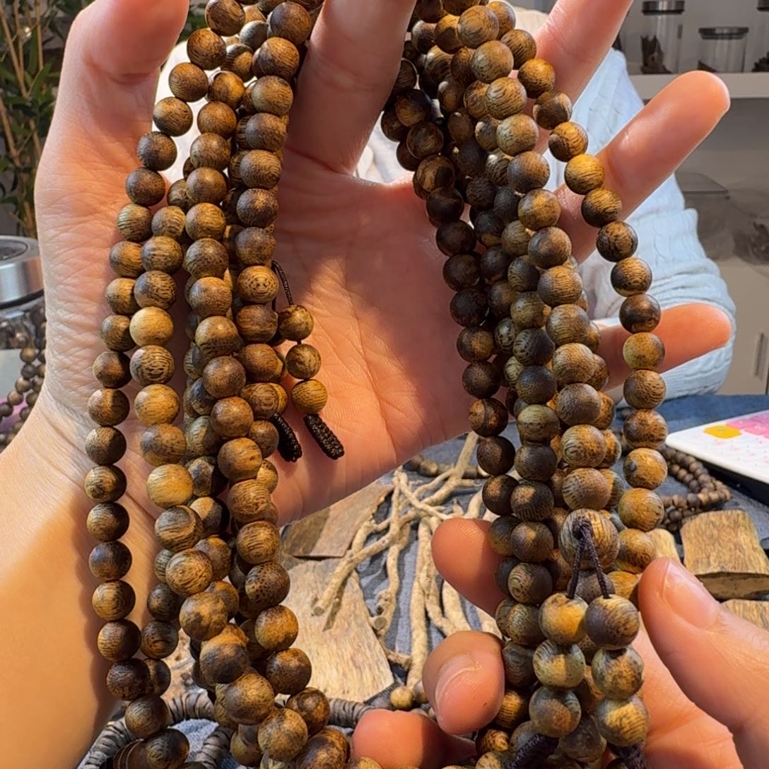 国香虎斑纹15-16克