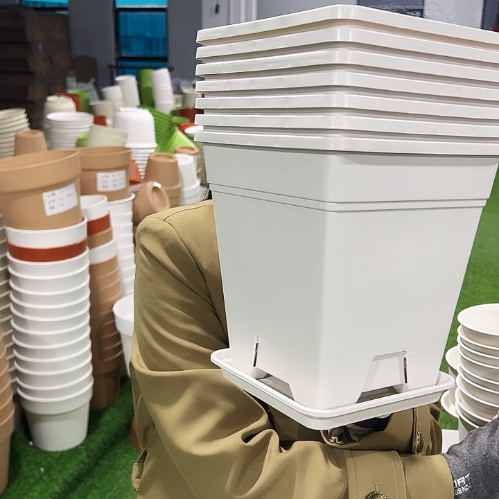 正品方形口20高22白色带托6个