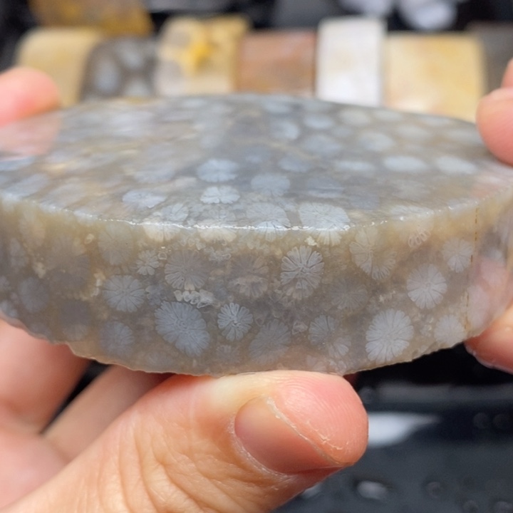 硅化珊瑚（珊瑚玉）手镯未镶嵌