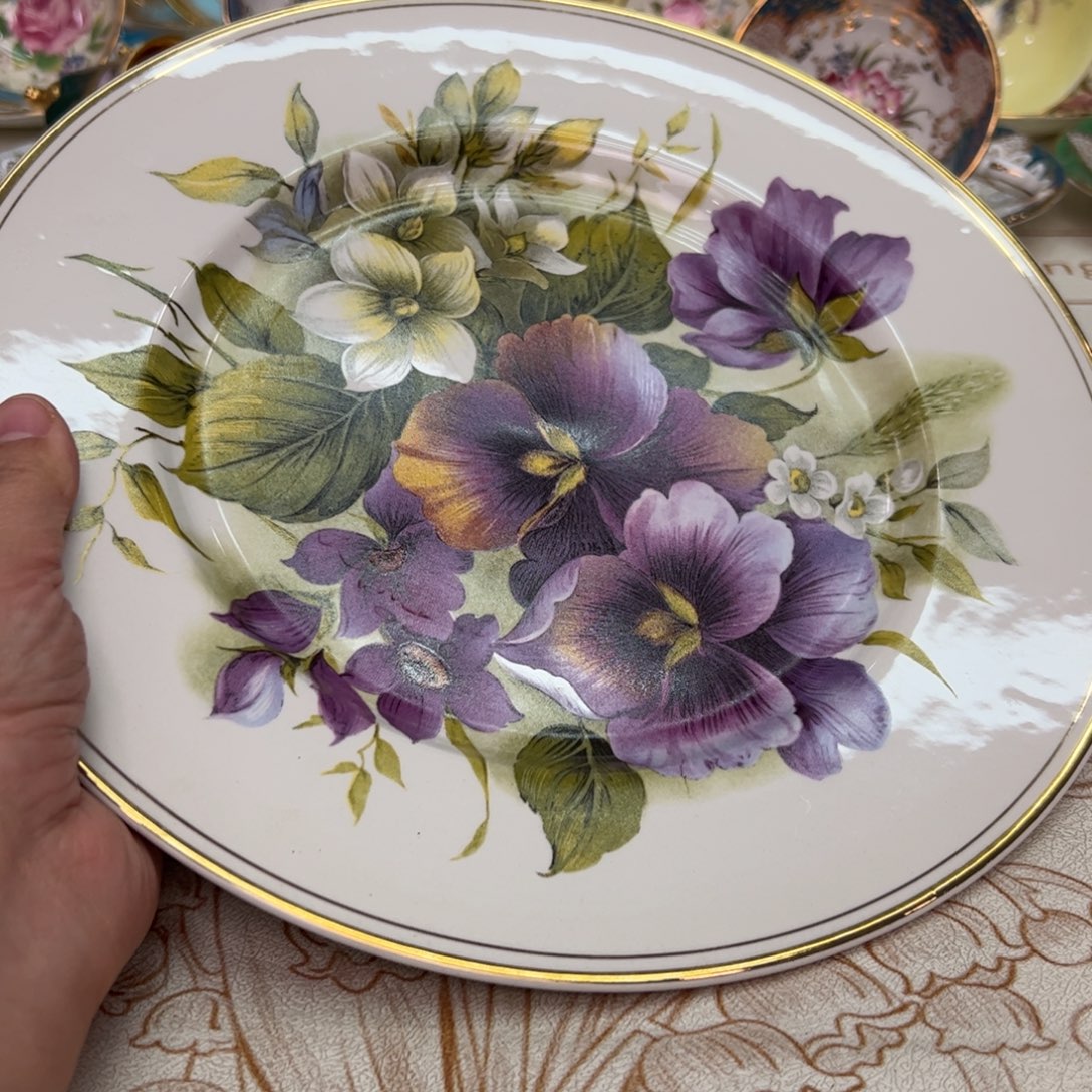 盘维多利亚欧洲中古