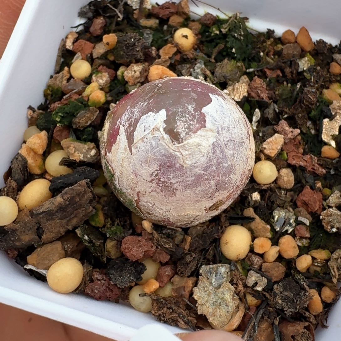 119灯泡尺寸1.8左右0000