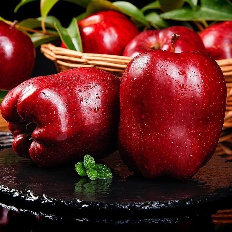 甘肃花牛苹果刮泥粉面脆甜高山蛇果净重4.5斤/8.5斤