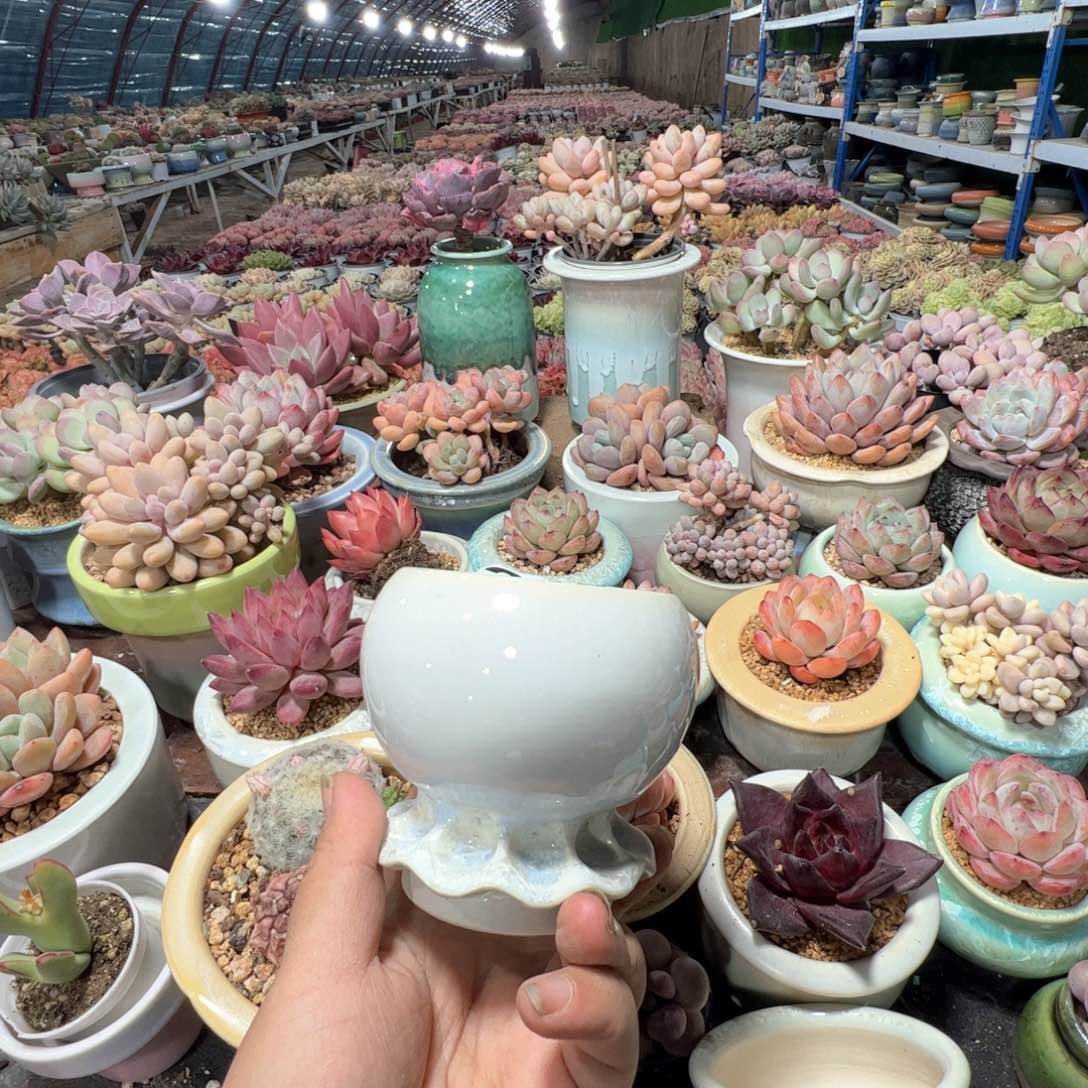 凑满50发货 内口6.5