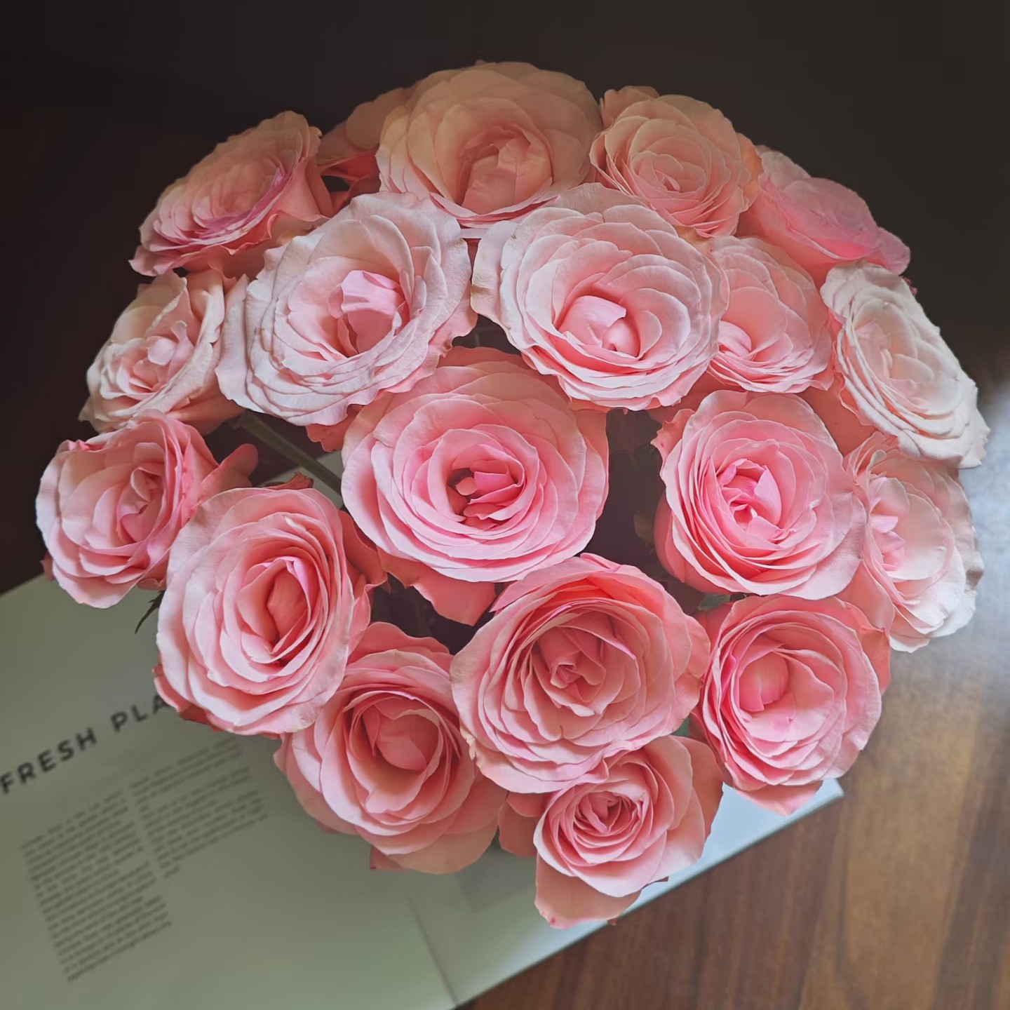 【A级和弦玫瑰】家居瓶插花福建次日达顺丰包邮厦门同城鲜花批发