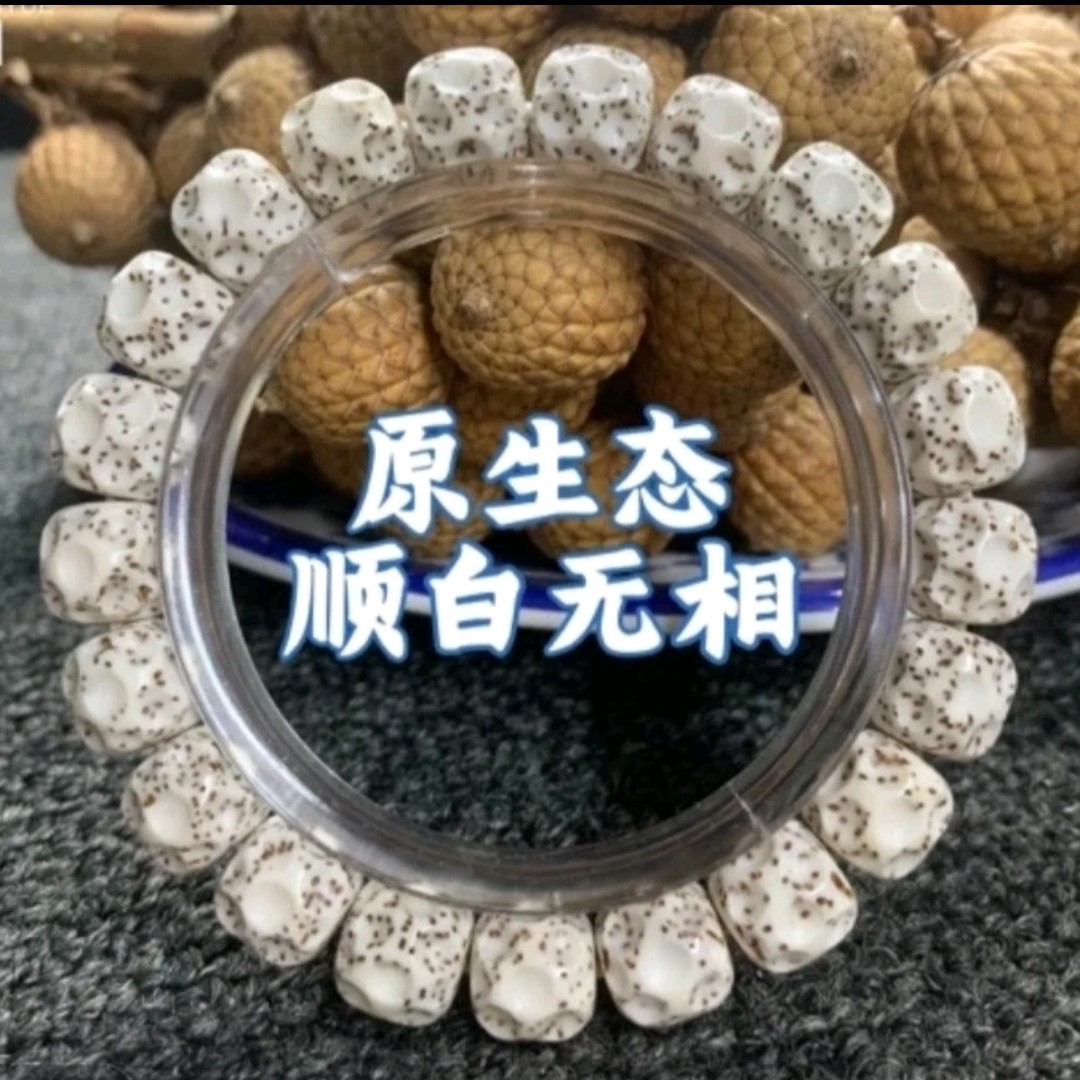 海南星月无相菩提1.0m   A1610