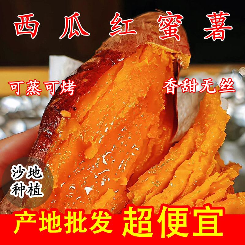 新鲜现挖红蜜薯西瓜红红薯沙地地瓜香甜番薯沙地蜜薯零农残