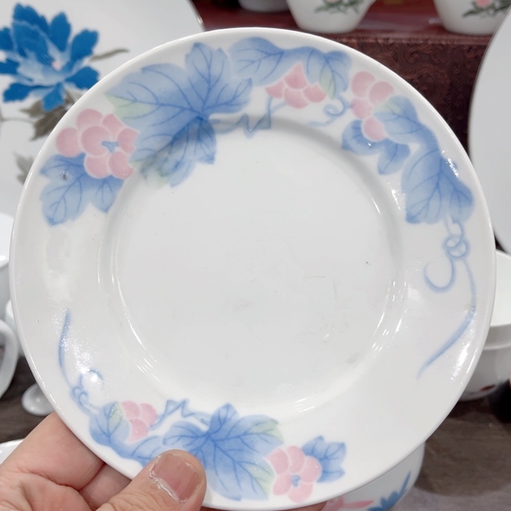 壶釉下五彩的瓷器和瓷器