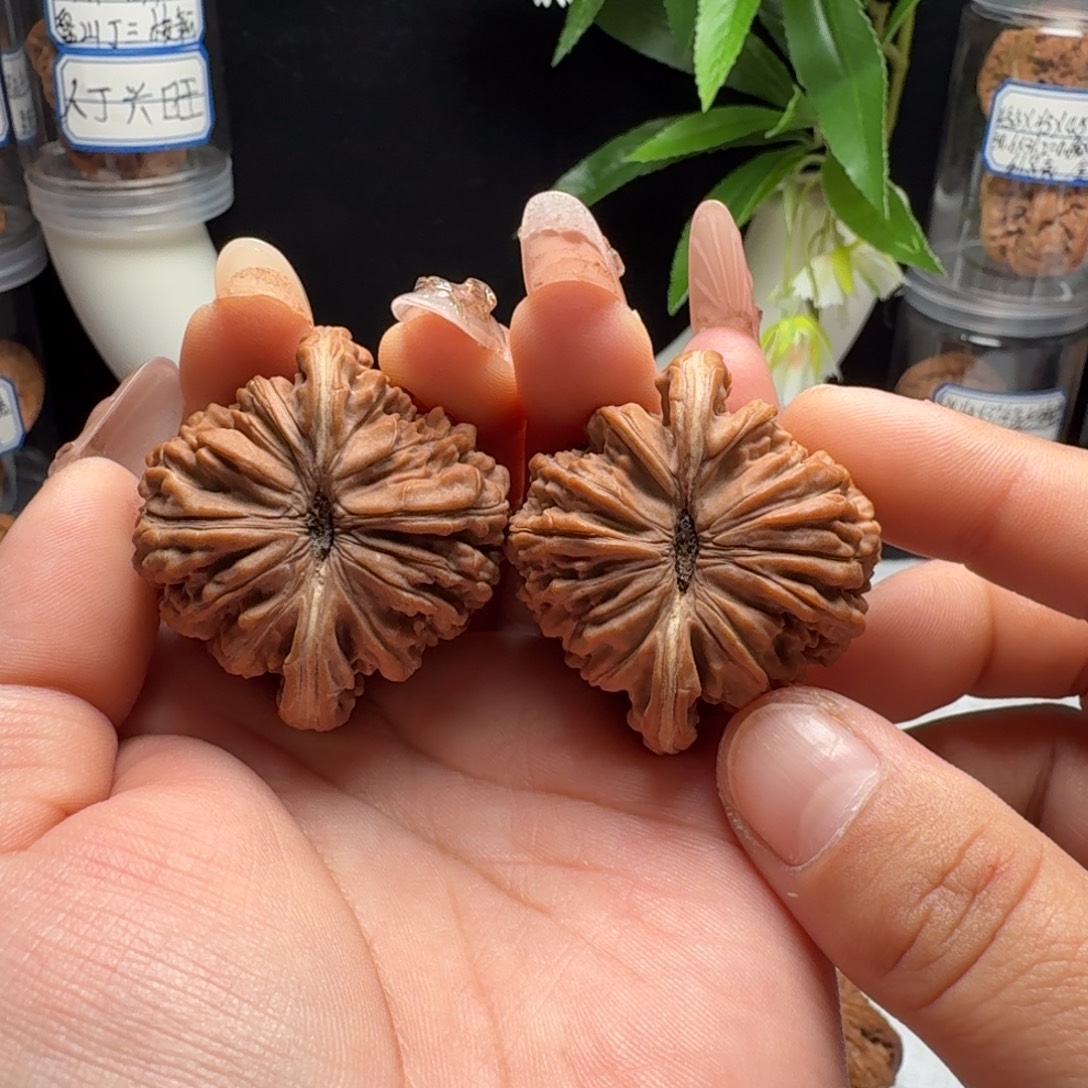 文玩核桃把件平谷楼全品42不议价