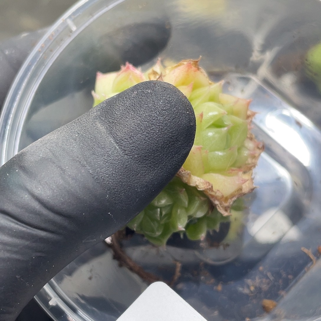 郭****331。 定。                