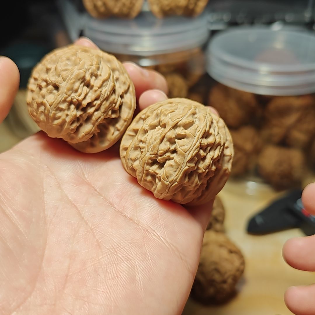 核桃全品白狮子38尺