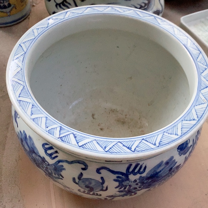 瓷片我也好可爱的啊　