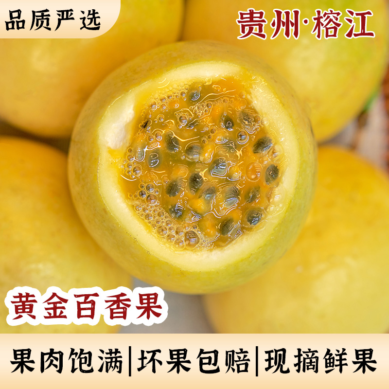 黄金百香果贵州榕江新鲜现摘现发当季水果香甜多汁纯香坏果包赔