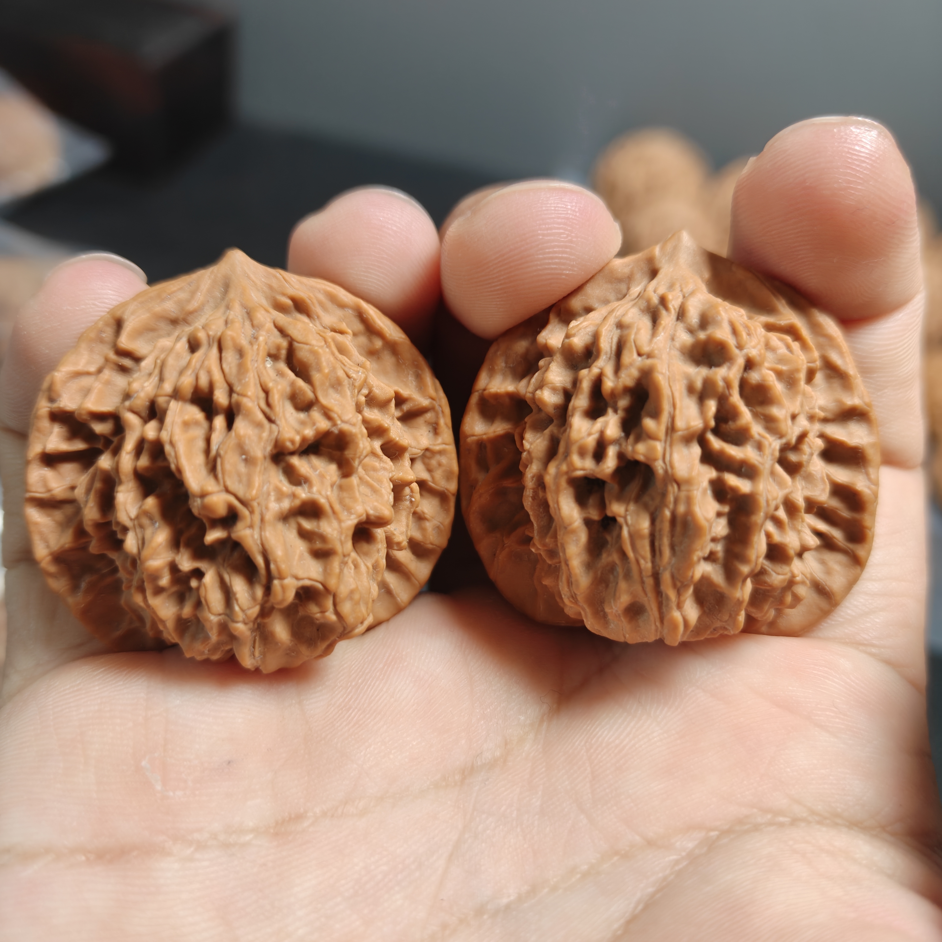 文玩核桃盘龙纹狮子头