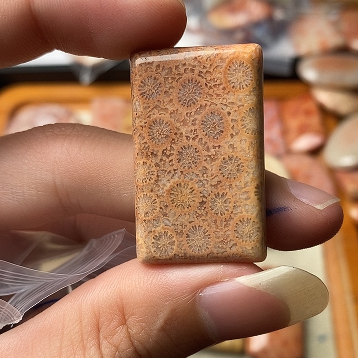 硅化玉颈饰未镶嵌玻****?