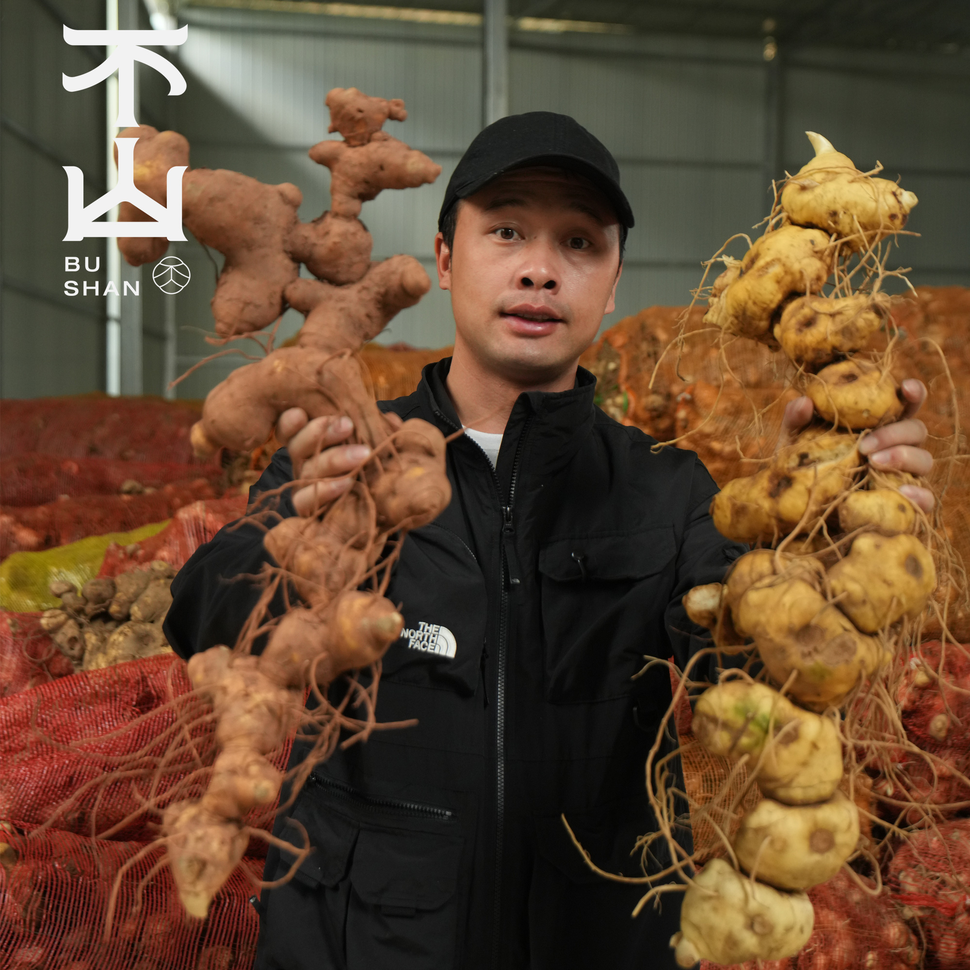 不山 · 【九制黄精】九蒸九晒黄精仙人余粮古法炮制泡水煲汤250g/罐