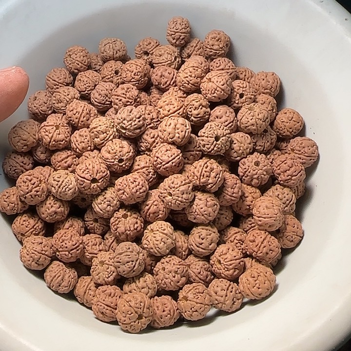 金刚菩提吊坠老树王散籽非全品12+100