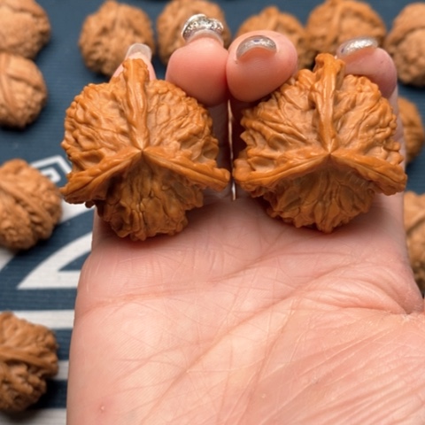 橄榄核手串/手链f****s盘山三棱