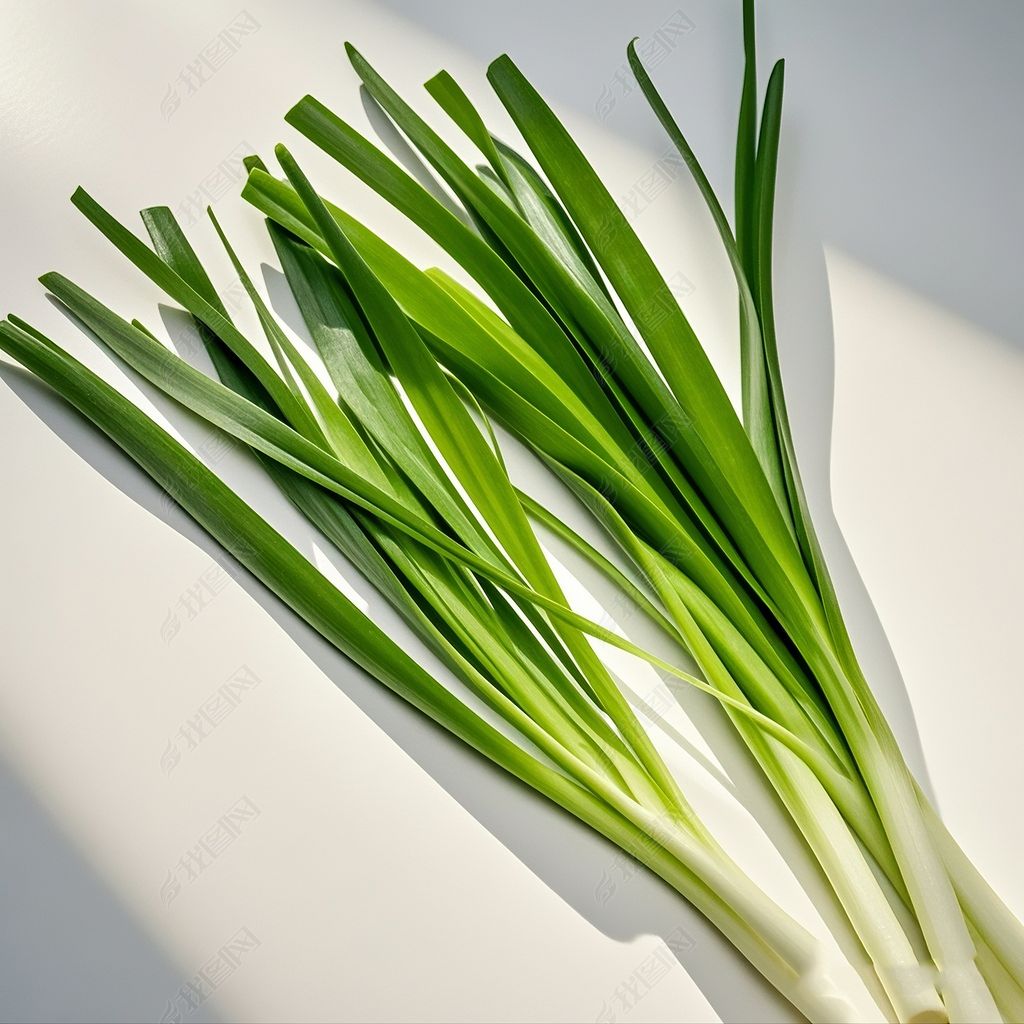青蒜苗 约100g/份