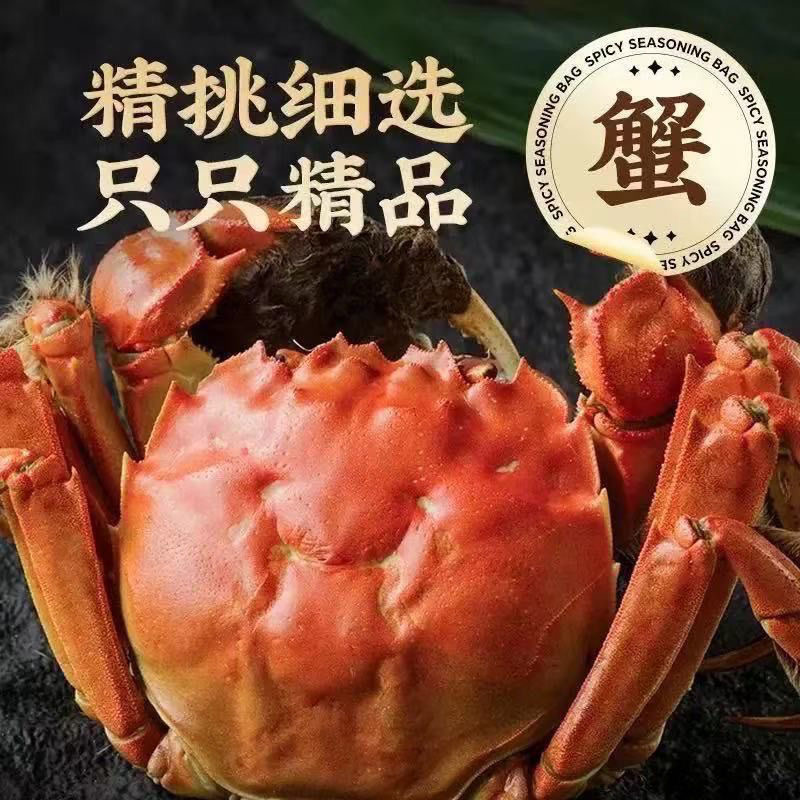 【活蟹】精挑大闸蟹公蟹5.1-4.8两母4.1-3.8两6/10只鲜活冷链包邮