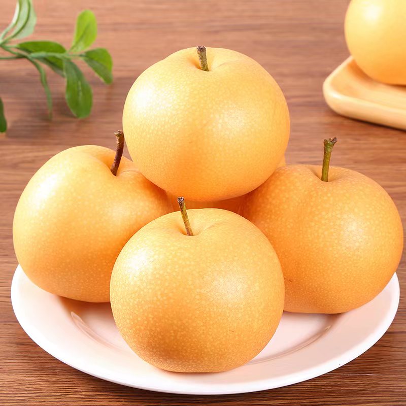 【正宗秋月梨】带盒5斤  酥脆鲜嫩 汁多无渣核小 产地直发 坏果包赔