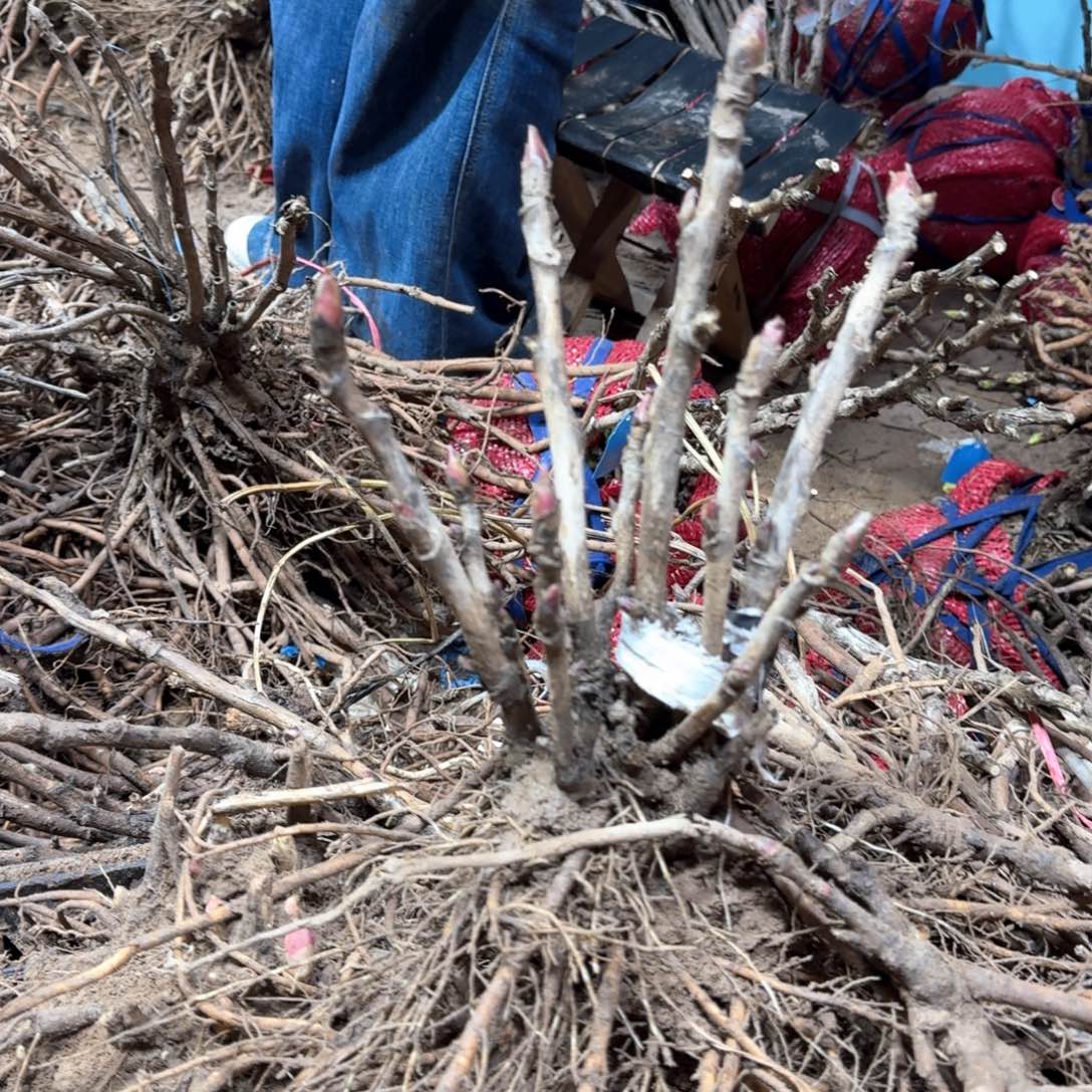 完全开放11111111111111111