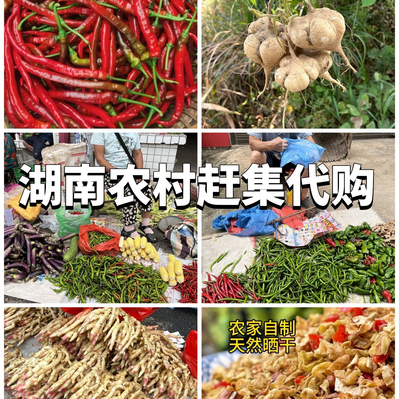 【1号蔬菜瓜果】湖南怀化乡村赶集代买当季土特产（不接受退货）