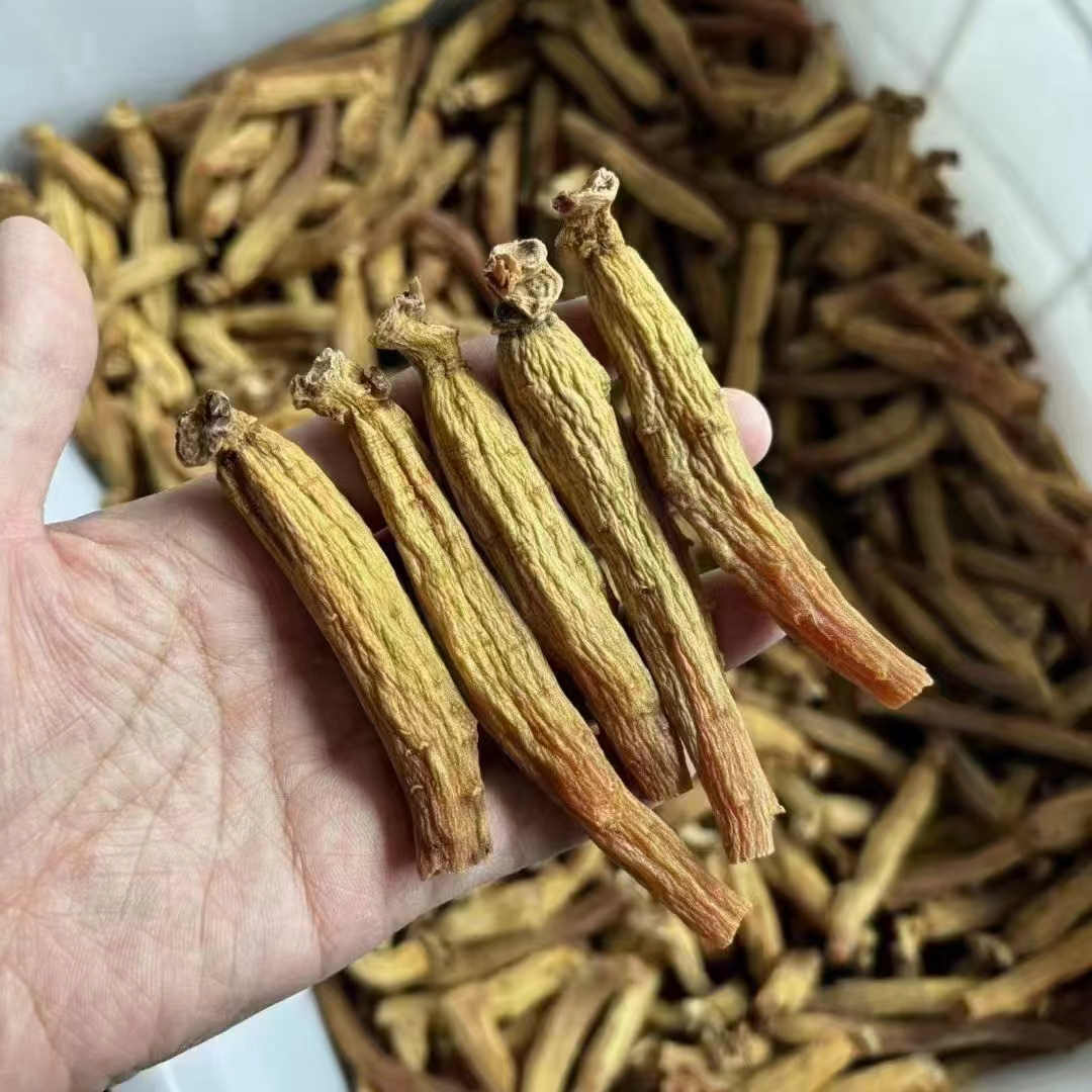 韩种高丽参天字40-45支一斤大芦头老皮纹