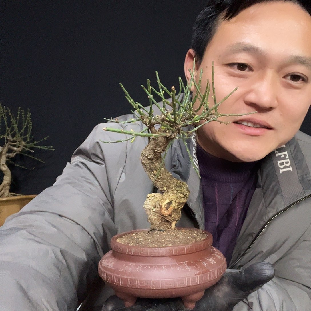 *****无花朵谢谢你的关心和支持