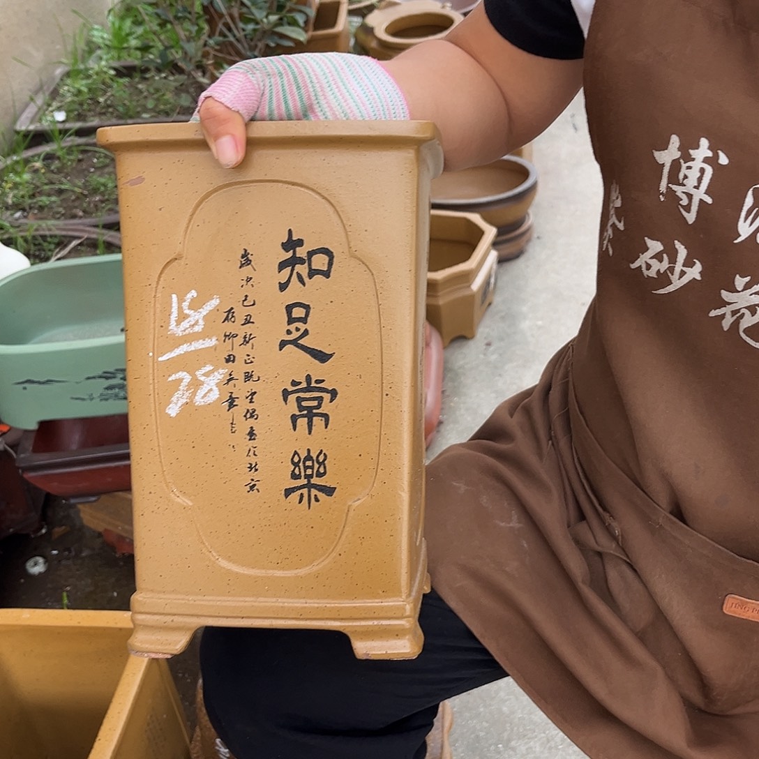 紫砂花盆盆景艺术