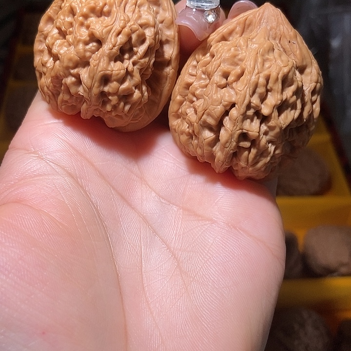 边38肚39全品蚂蚁王！好运连连