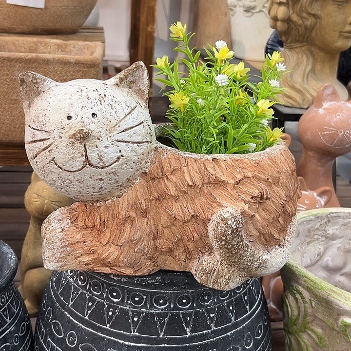 高20长26口12.5，85899966