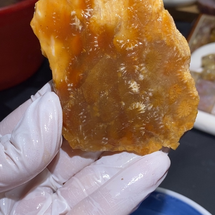 【闪购商品】未镶嵌珊瑚玉硅化玉