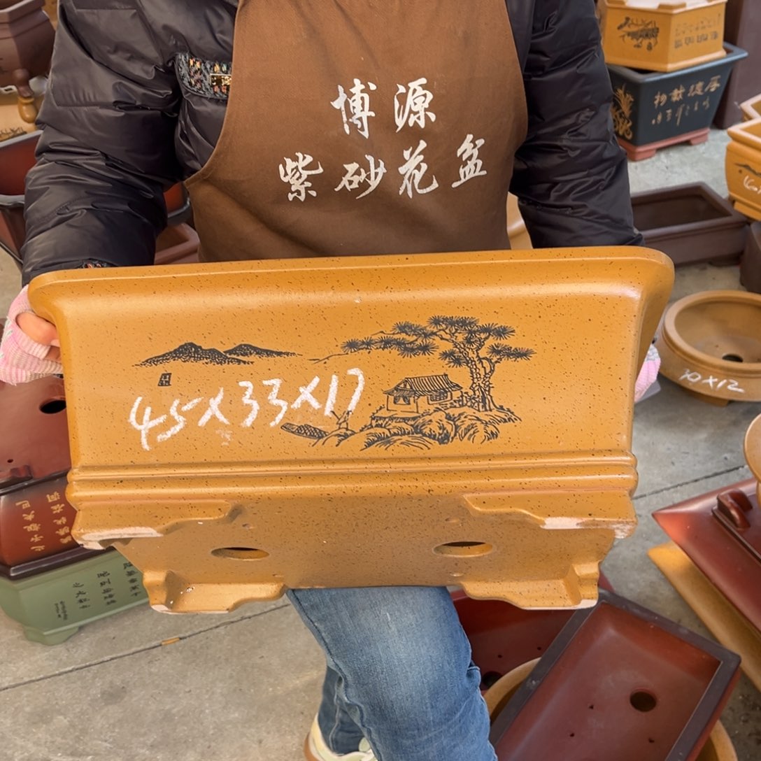 花盆紫砂盆景艺术