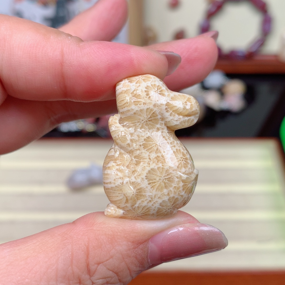 硅化玉珊瑚玉未镶嵌