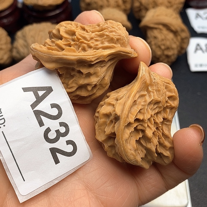 核桃盘山小鸟有修