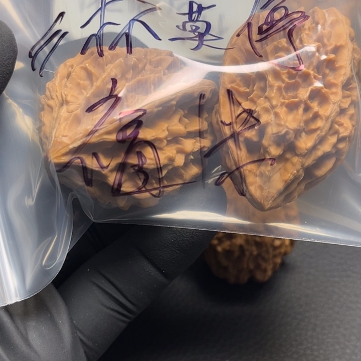 ****停把件文玩核桃练手招财鼠