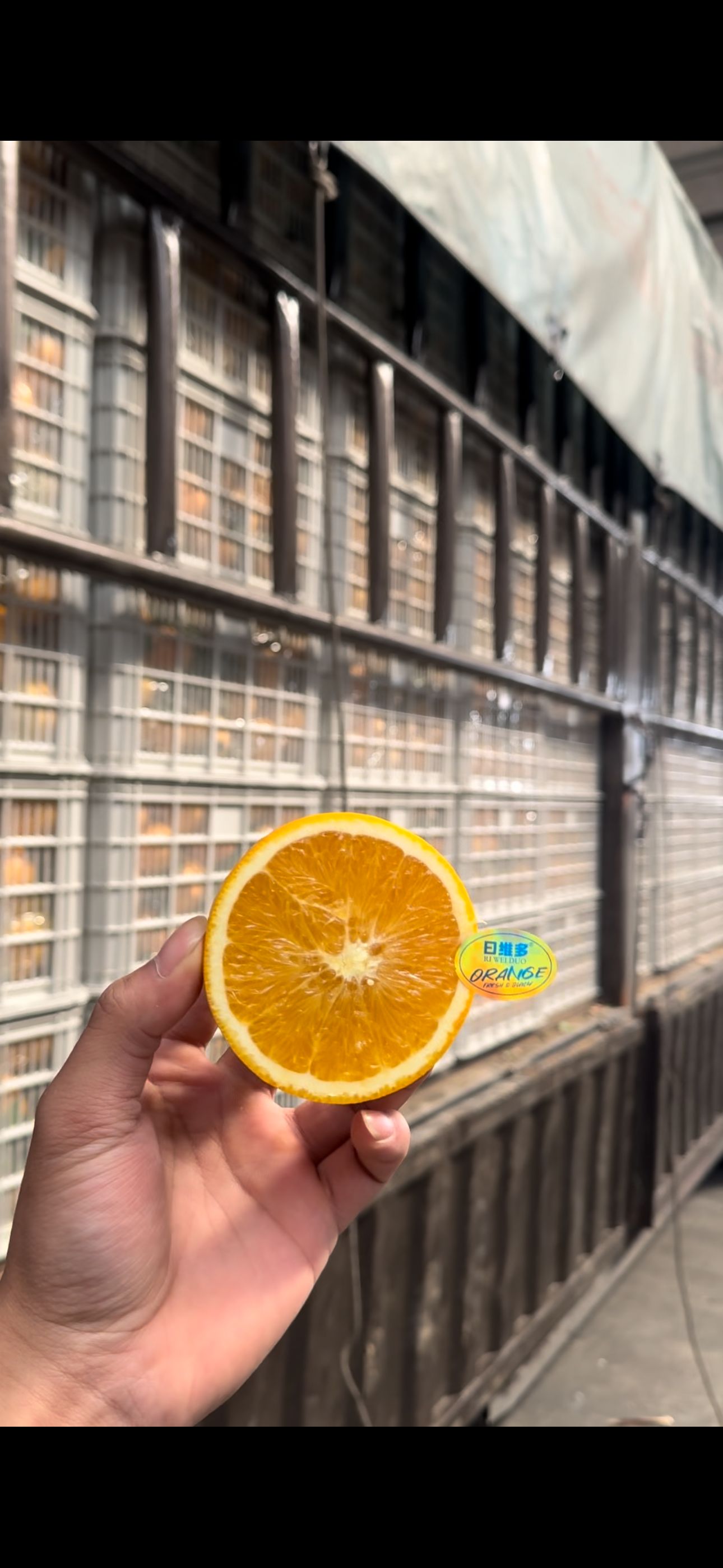 日维多赣南脐橙【微酸，橙味足，顺丰包邮】