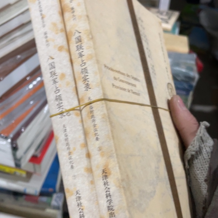 八国联军占领实录全两册