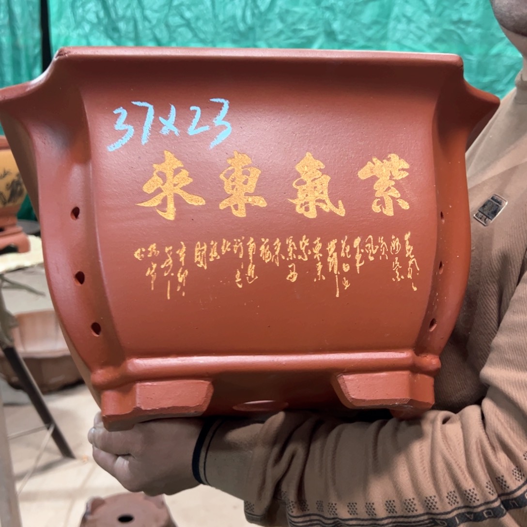 紫砂花盆紫砂花盆