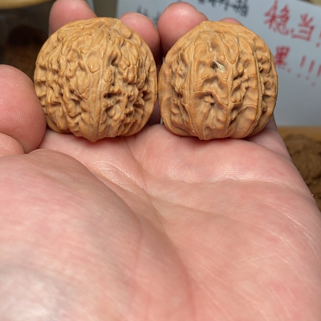 文玩核桃把件37.5全品无药白狮子
