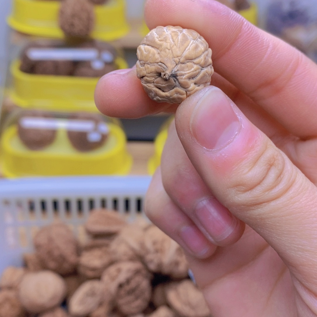 吊坠文玩核桃三*