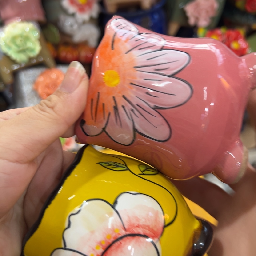花盆满20元发货，退款的拉黑
