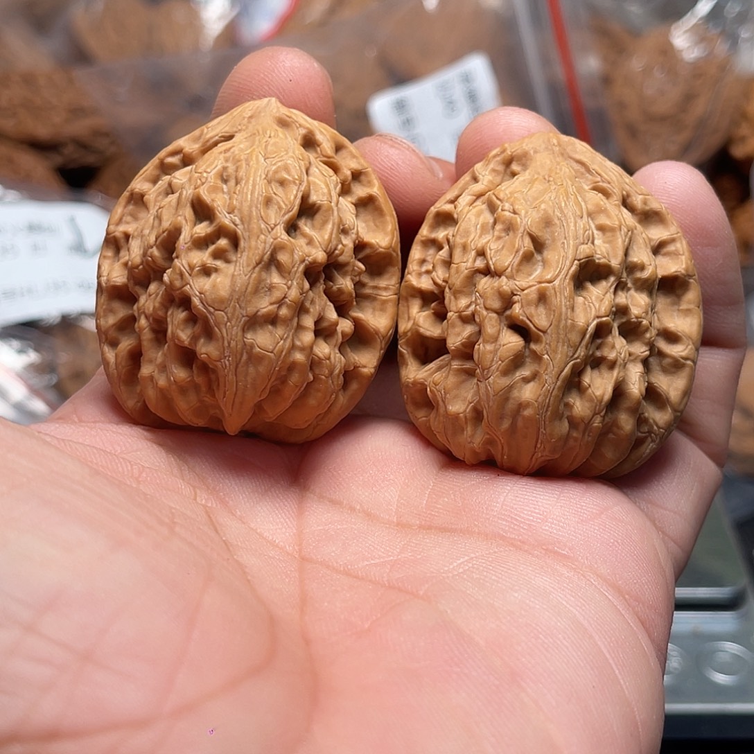 文玩核桃鼋甲纹38-137